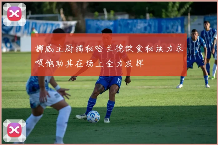 挪威主厨揭秘哈兰德饮食秘诀力求喂饱助其在场上全力发挥